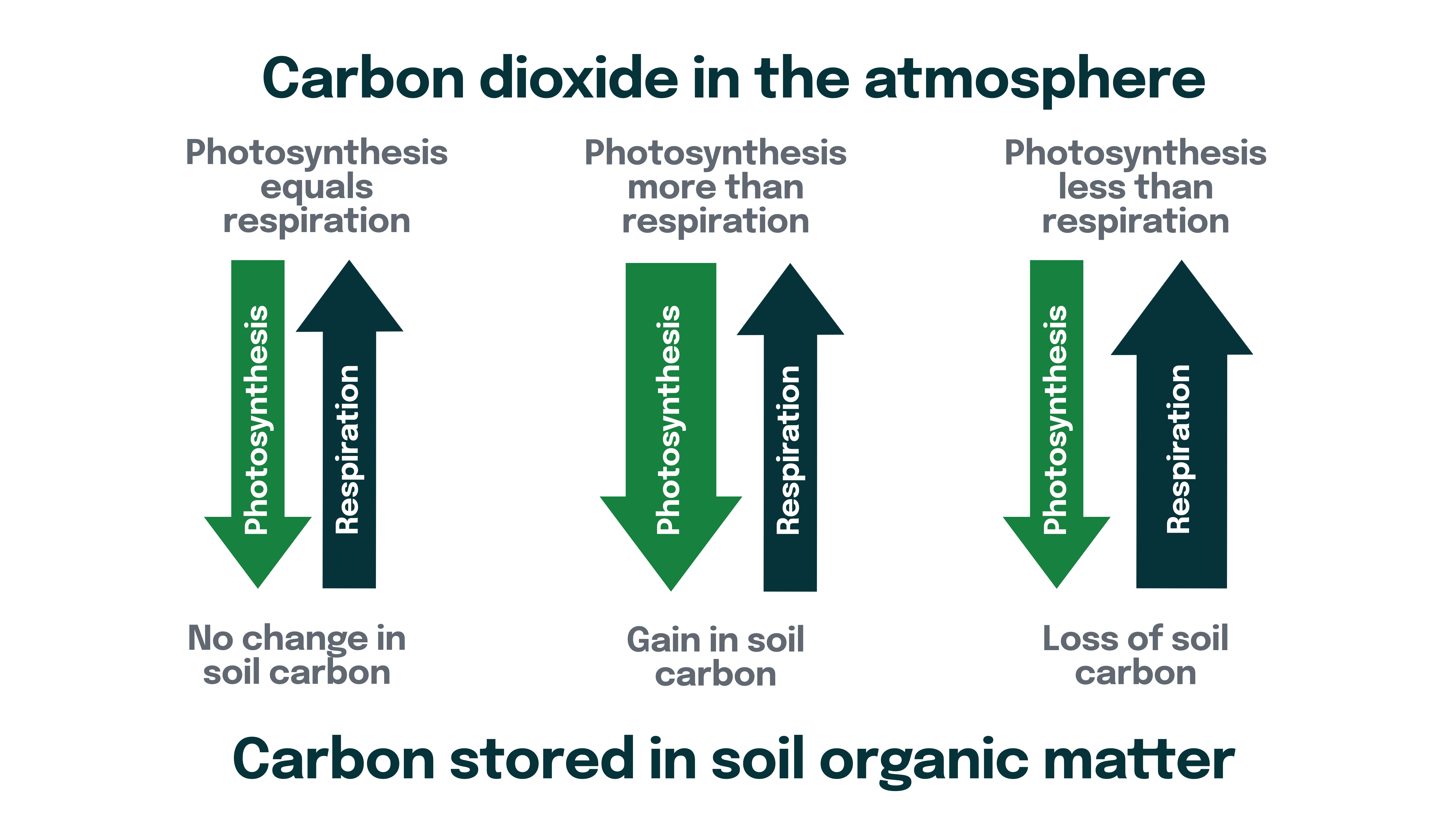 CO2 in Atmosphere