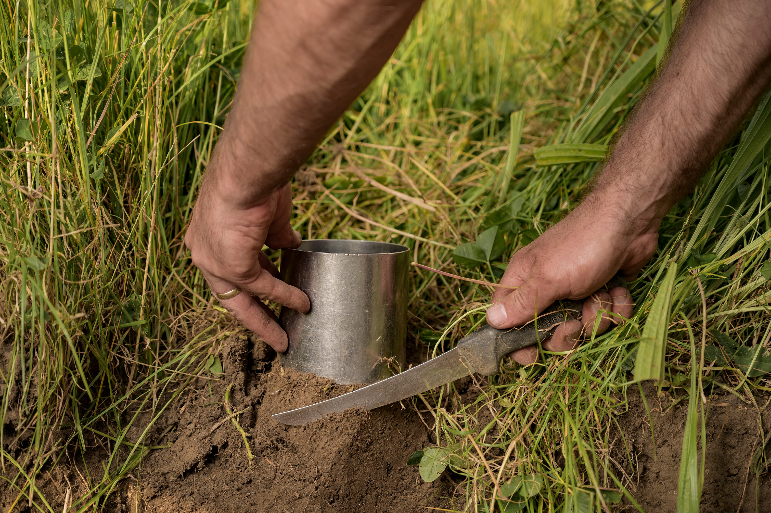 Soil knife